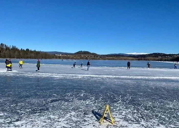 Apartament Golf Residenz Laengsee *